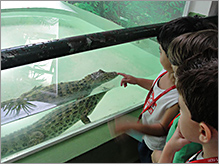 Clubinho de Férias 02